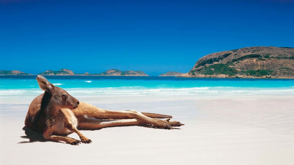 Australia, da sapere prima di un viaggio