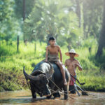 Indonesia