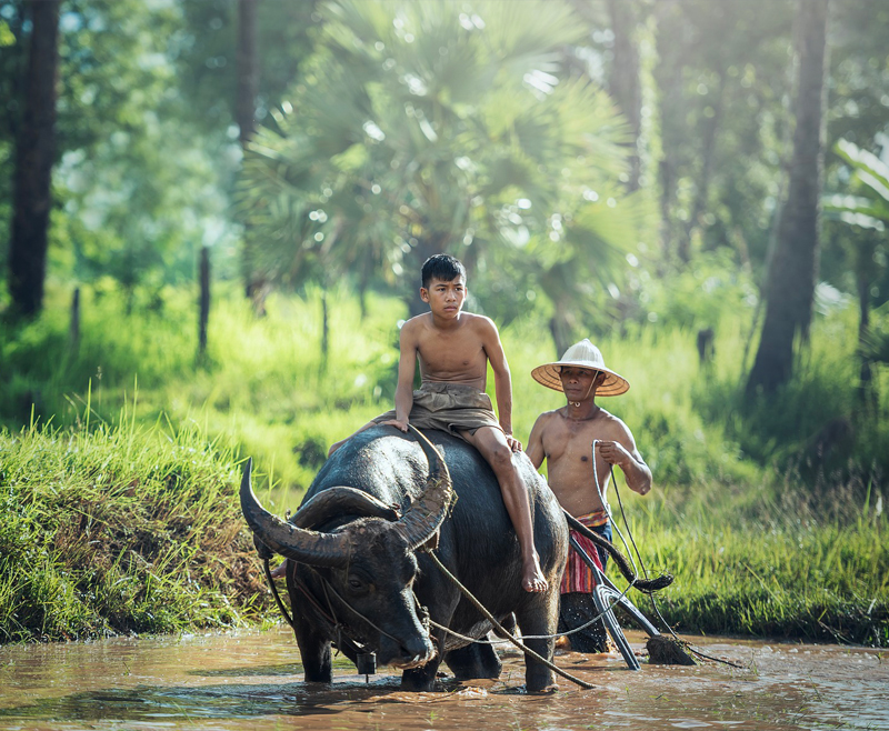 Indonesia