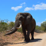 sudafrica